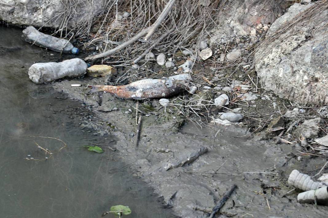 O kentte korkutan manzara: Ekipler apar topar inceleme başlattı! Yağmur suyu kanalları bile inceleniyor 3